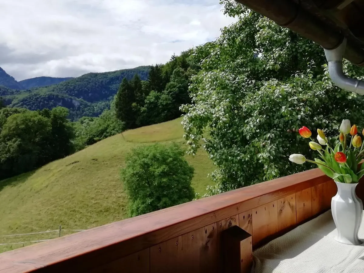 Apartment Landhaus Heisenbauer Bad Reichenhall Germany