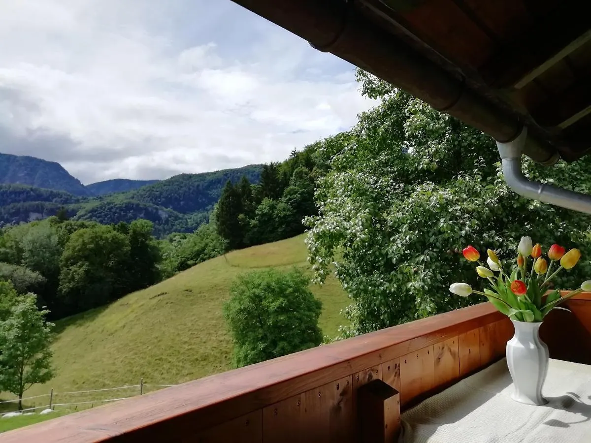 Apartment Landhaus Heisenbauer Bad Reichenhall